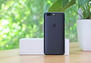 国产bv手机在线视频,引领潮流的在线视频新体验