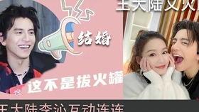 王大陆在线视频,魅力四溢的青春演绎