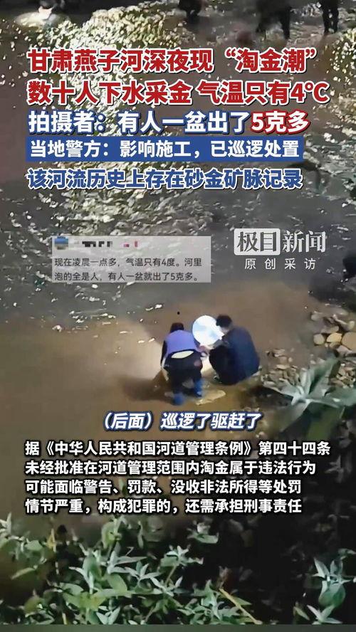 淘金在线视频观看