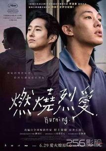 燃烧韩国在线视频观看,在线视频带你领略韩国燃烧魅力