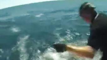 海钓鱼在线视频,揭秘海洋捕鱼技巧与乐趣